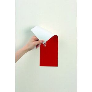 }OGbNX }OlbgʃJ[V[gԔki:MSR10RWly3619044:0z[Xs]