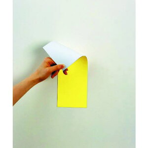 }OGbNX }OlbgʃJ[V[gki:MSR10YWly3619052:0z[Xs]