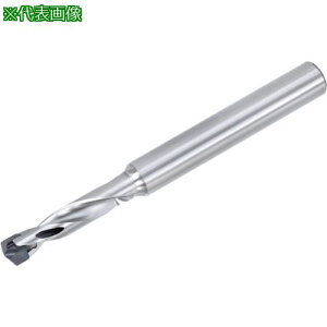 ���^���K���C �w�b�h�������h���� �h�����E�}�C�X�^�[ TID-R(L/D=3)�k�i��:TID055R063�l�y3619645:0�z[�����ʓr���ς�][�f�O���][�X�����s��]