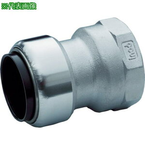 ��inoc �C�m�N�C�b�N ���A�_�v�^�t�\�P�b�g�k�i��:304IQSFA20SUX15A�l�y3620093:0�z[�X�����s��]