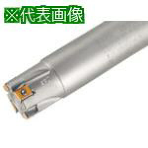 ���C�X�J�� �w���^���O ���[�h�G���h�~�� T490 ELN-08 �n�a16mm �n��2�� �V�����N�a16mm�k�i��:T490ELND162C1608�l�y3623823:0�z[�X�����s��]