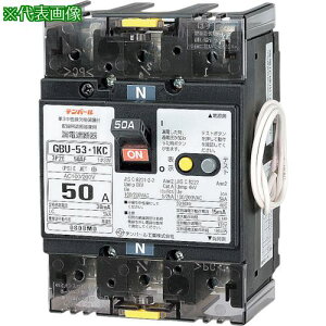 ���e���p�[�� �e���p�[���H�� GBU-53.1KC 50A 30MA ���[�h�Z���c�L �P3�����������ی�t�R�d�Ւf�� ���d�Ջ���`�T�C�Y �ߓd�����o���[�h���t�k�i��:U5301KC5030V�l�y3634056:0�z[�����ʓr���ς�][�f�O