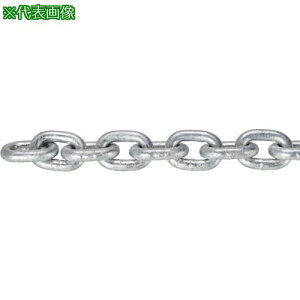��TRUSCO JIS F2106����K�i���� �V���[�g�����N�`�F�[�� �X�`�[�� �h�u���b�L ���a16mm×����22.1M~23.0M�k�i��:TIC16SHD23C�l�y3634748:0�z[�����ʓr���ς�][�@�l�E���Ə�����][����][�X�����s��]