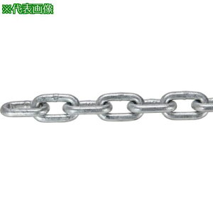 ��TRUSCO JIS F2106����K�i���� �����O�����N�`�F�[�� �X�`�[�� �h�u���b�L ���a16mm×����22.1M~23.0M�k�i��:TIC16LGD23C�l�y3636284:0�z[�����ʓr���ς�][�@�l�E���Ə�����][����][�X�����s��]