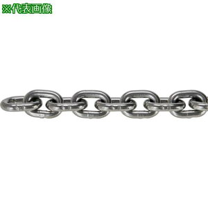 ��TRUSCO JIS F2106����K�i���� �V���[�g�����N�`�F�[�� �X�`�[�� ���� ���a22mm×����22.1M~23.0M�k�i��:TIC22SHM23C�l�y3637912:0�z[�����ʓr���ς�][�@�l�E���Ə�����][����][�X�����s��]