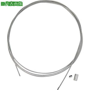 TRUSCO XeXCJbg[v+X[ut 2.0pC×4000mm(XeXX[u2t )ki:SRCWS2.0X4Mly3645758:0z[Xs]