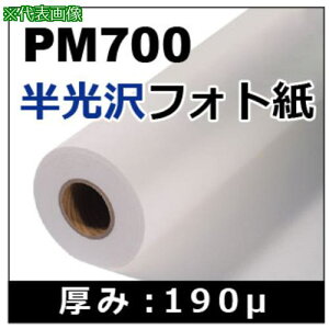 AS PM700tHg 610mm ki:62921812ly3681384:0z[ʓrς][fO][Xs]