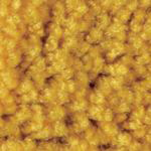 �����Y�� �u���C�g�}�b�g2 750×900mm ������k�i��:4981390550237�l�y3685377:0�z[�����ʓr���ς�][�@�l�E���Ə�����][�O����][�X�����s��]