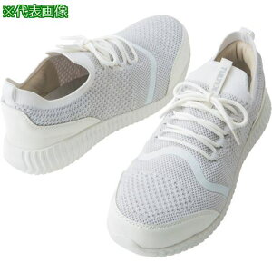 ACgX yʃZ[teB[V[Y AZ51663 CgO[ 24.5ki:AZ5166300324.5ly3685662:0z[ʓrς][fO][Xs]