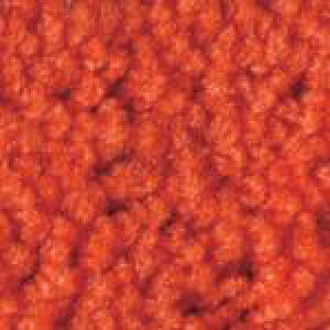�����Y�� �u���C�g�}�b�g2 750×900mm ������������k�i��:4981390550206�l�y3686881:0�z[�����ʓr���ς�][�@�l�E���Ə�����][�O����][�X�����s��]