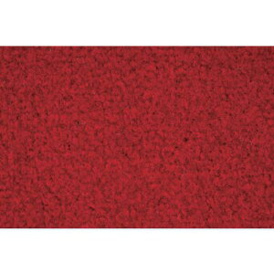 �����Y�� �V���r�A�}�b�g 900×1200mm �ԁk�i��:4981390220536�l�y3686887:0�z[�����ʓr���ς�][�@�l�E���Ə�����][�O����][�X�����s��]