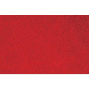 �����Y�� �g�s�b�N�}�b�g 900×1800mm �ԁk�i��:4981390381268�l�y3686901:0�z[�����ʓr���ς�][�@�l�E���Ə�����][�O����][�X�����s��]