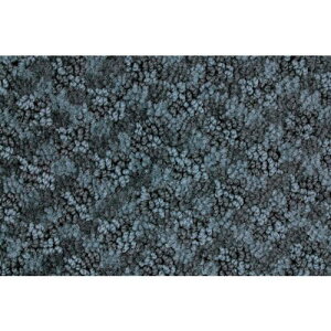 �����Y�� �e�C�N�}�b�g 600×900mm �u���[�O���[�k�i��:4981390360904�l�y3686911:0�z[�����ʓr���ς�][�@�l�E���Ə�����][�O����][�X�����s��]