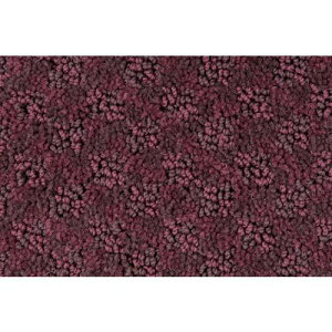 �����Y�� �e�C�N�}�b�g 600×900mm ���C�����b�h�k�i��:4981390360911�l�y3686953:0�z[�����ʓr���ς�][�@�l�E���Ə�����][�O����][�X�����s��]