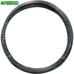 DAIDOHANT sAm [SWP-A] (a) 2.3mm × () 10M ki:00053720ly3690676:0z[ʓrς][Xs]