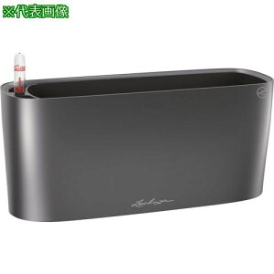 Lechuza ʋv^[ f^20 ye5L `R[ki:15563ly3691015:0z[Xs]