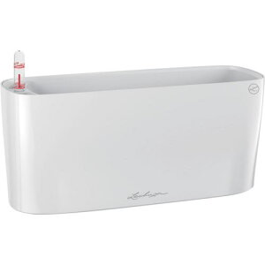 Lechuza ʋv^[ f^10 ye2L zCgki:15460ly3691022:0z[Xs]