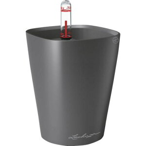 Lechuza ʋv^[ ~jfeB[j ye0.4L `R[ki:14949ly3692510:0z[Xs]