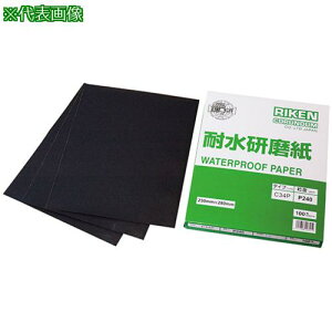 ��AS �ϐ������� C34P #80 100�����k�i��:3901451�l�y3702059:0�z[�����ʓr���ς�][�f�O���][�X�����s��]