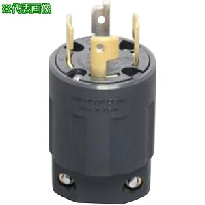 ��AS ���|�`�v���O 4222N�k�i��:450305�l�y3702735:0�z[�����ʓr���ς�][�@�l�E���Ə�����][�f�O���][�X�����s��]