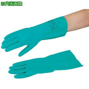 AS YN5011-L ϗn܎ ki:4297402ly3705514:0z[ʓrς][fO][Xs]