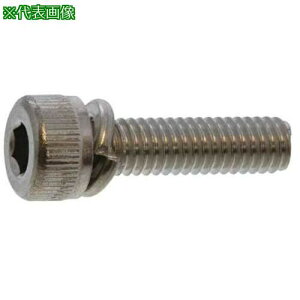 ��SUNCO 10.9CAP P=2 4 X 23 (40�{��)�k�i��:A0009020004002300040P�l�y3705875:0�z[�����ʓr���ς�][�f�O���][�X�����s��]