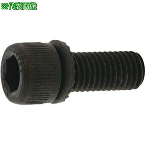 SUNCO GT-CAP(SA) 8 X 35 (7{)ki:A000GTSA00800350007Ply3706136:0z[ʓrς][fO][Xs]