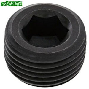 ��SUNCO �v���ONB(���͒��� PT 1�h1/2 (1�{��)�k�i��:A000571N81400000001P�l�y3706209:0�z[�����ʓr���ς�][�f�O���][�X�����s��]