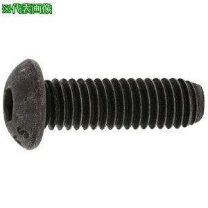 ��SUNCO SUS �{�^��CAP (UNC #4-40×7/16 (8�{��)�k�i��:A002103070408035008P�l�y3706736:0�z[�����ʓr���ς�][�f�O���][�X�����s��]