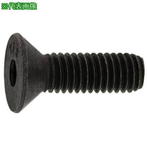 ��SUNCO SUS�T��CAP(UNC #5-40×1/2 (4�{��)�k�i��:A002203070508040004P�l�y3706809:0�z[�����ʓr���ς�][�f�O���][�X�����s��]