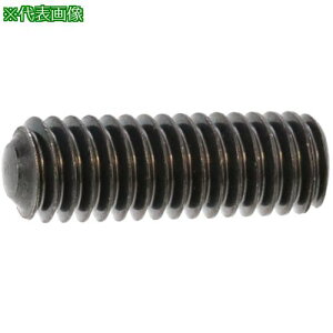 ��SUNCO HS(�i�K�C �ې� 2 X 2 (10�{��)�k�i��:A000509M002000200010P�l�y3707339:0�z[�����ʓr���ς�][�f�O���][�X�����s��]