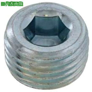 ��SUNCO DRY�V�[�� GOSHO�v���O(���� GM 3/8 (10�{��)�k�i��:A0005810803000007210P�l�y3707476:0�z[�����ʓr���ς�][�f�O���][�X�����s��]