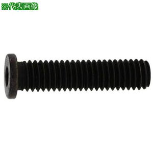 SUNCO NS[wbh 10×25 (3{)ki:A000L35001000250003Ply3709600:0z[ʓrς][fO][Xs]