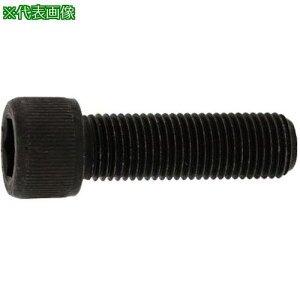��SUNCO CAP(UNF #6-40×5/16 (6�{��)�k�i��:A000004070608025006P�l�y3710160:0�z[�����ʓr���ς�][�f�O���][�X�����s��]