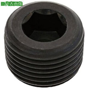 SUNCO vO(( PP3 PP3 3/8 (10{)ki:A000570C803000000010Ply3710473:0z[ʓrς][fO][Xs]