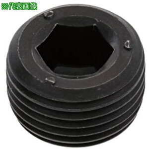 ��SUNCO �v���O(����NPTF DB 1/16 (10�{��)�k�i��:A0005740800500000010P�l�y3710562:0�z[�����ʓr���ς�][�f�O���][�X�����s��]