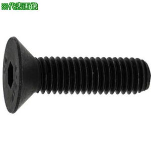 ��SUNCO �T��CAP �A���u���R 12×40 (2�{��)�k�i��:A000200P01200400002P�l�y3710580:0�z[�����ʓr���ς�][�f�O���][�X�����s��]