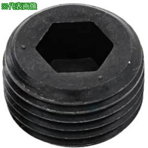 SUNCO XeGOSHOvO NPTF( GDL 1/8 (4{)ki:A002584080100000004Ply3711629:0z[ʓrς][fO][Xs]