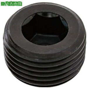 ��SUNCO �v���O(����(TKS PT 1/2 (9�{��)�k�i��:A000571T80400000009P�l�y3712086:0�z[�����ʓr���ς�][�f�O���][�X�����s��]