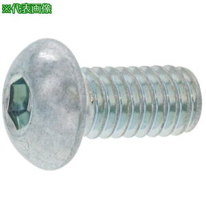 ��SUNCO BK SUS�{�^��CAP 6×50 (5�{��)�k�i��:A002100000600500085P�l�y3712987:0�z[�����ʓr���ς�][�f�O���][�X�����s��]