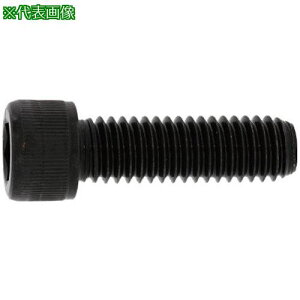 SUNCO XeCAP(UNC #4-40×5/16 (20{)ki:A0020030704080250020Ply3713044:0z[ʓrς][fO][Xs]