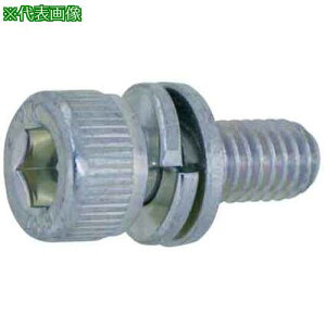 ��SUNCO 10.9CAP I=4 ����S�H���� 6×16 (40�{��)�k�i��:A000914J006001600040P�l�y3713957:0�z[�����ʓr���ς�][�f�O���][�X�����s��]