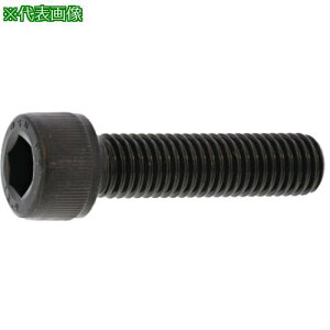 ��SUNCO CAP(���[�V�����^�C�g 4×8 (120�{��)�k�i��:A000MT0N0040008000120P�l�y3714374:0�z[�����ʓr���ς�][�f�O���][�X�����s��]
