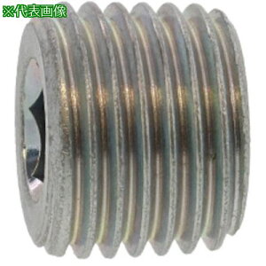 ��SUNCO ���� �㑺 �v���O(���� CH25K R1�h1/4-11 (1�{��)�k�i��:A000561081200000001P�l�y3718731:0�z[�����ʓr���ς�][�f�O���][�X�����s��]