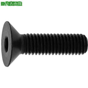 ��SUNCO SUS�T��CAP ���Y�l�W �VJIS 6×45 (20�{��)�k�i��:A00220JN006004500020P�l�y3720880:0�z[�����ʓr���ς�][�f�O���][�X�����s��]