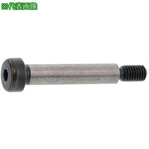 ��SUNCO GOSHO�V�����_�[BT SH�^�C�v 8 X 45 (3�{��)�k�i��:A000600G00800450003P�l�y3721553:0�z[�����ʓr���ς�][�f�O���][�X�����s��]