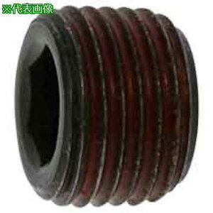 ��SUNCO �X�g�b�L���O�v���O�V�Y�~ GM 1/2 (6�{��)�k�i��:A000581S80400000006P�l�y3721642:0�z[�����ʓr���ς�][�f�O���][�X�����s��]