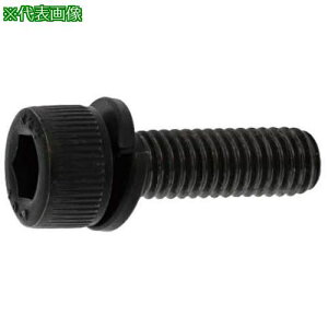 ��SUNCO CAP-SW(�J�N�}�� 10 X 35 (10�{��)�k�i��:A000902K010003500010P�l�y3723320:0�z[�����ʓr���ς�][�f�O���][�X�����s��]