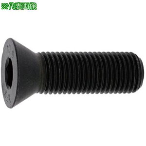 ��SUNCO SUS�T��CAP 12×55 (3�{��)�k�i��:A002200001200550003P�l�y3724118:0�z[�����ʓr���ς�][�f�O���][�X�����s��]