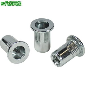 ���G�r ���[���b�g�i�b�g(�����E�X�e�B�[����) ��2.5 M4×0.7(1000��)�k�i��:NSD4MR�l�y3724808:0�z[�X�����s��]